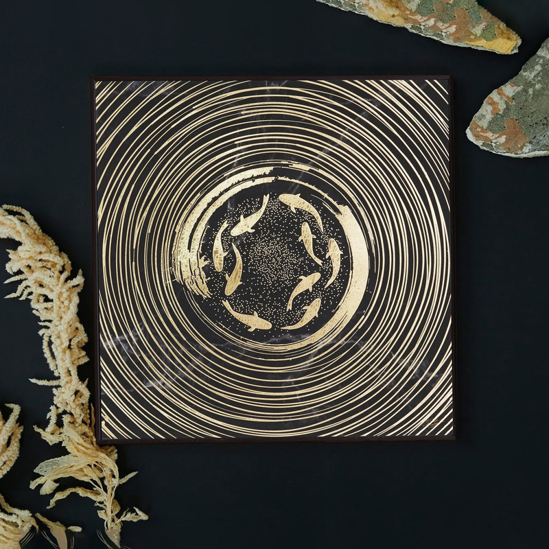 Chitran Product Photography